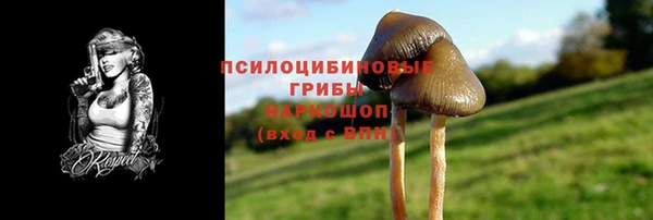 каннабис Коряжма