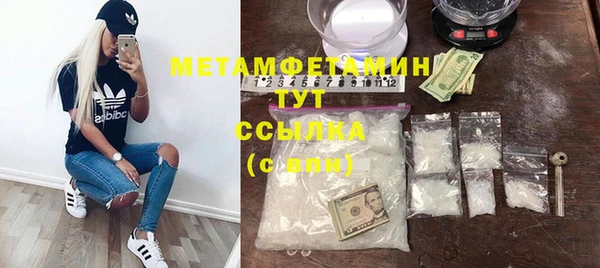 прущие грибы Касимов