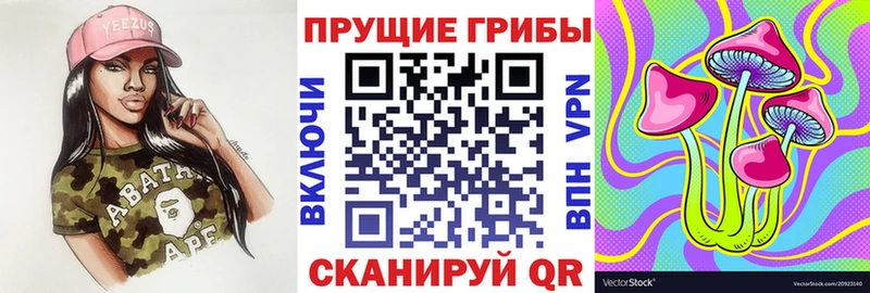 Галлюциногенные грибы Magic Shrooms  Сурск 